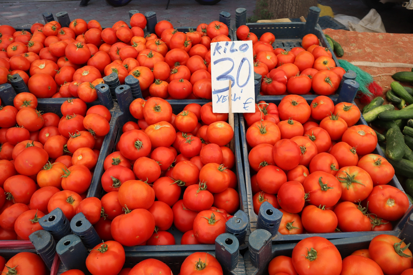 Malatya pazarlarında fiyatlar eriyor: Domates 30, salatalık 15 liraya düştü!