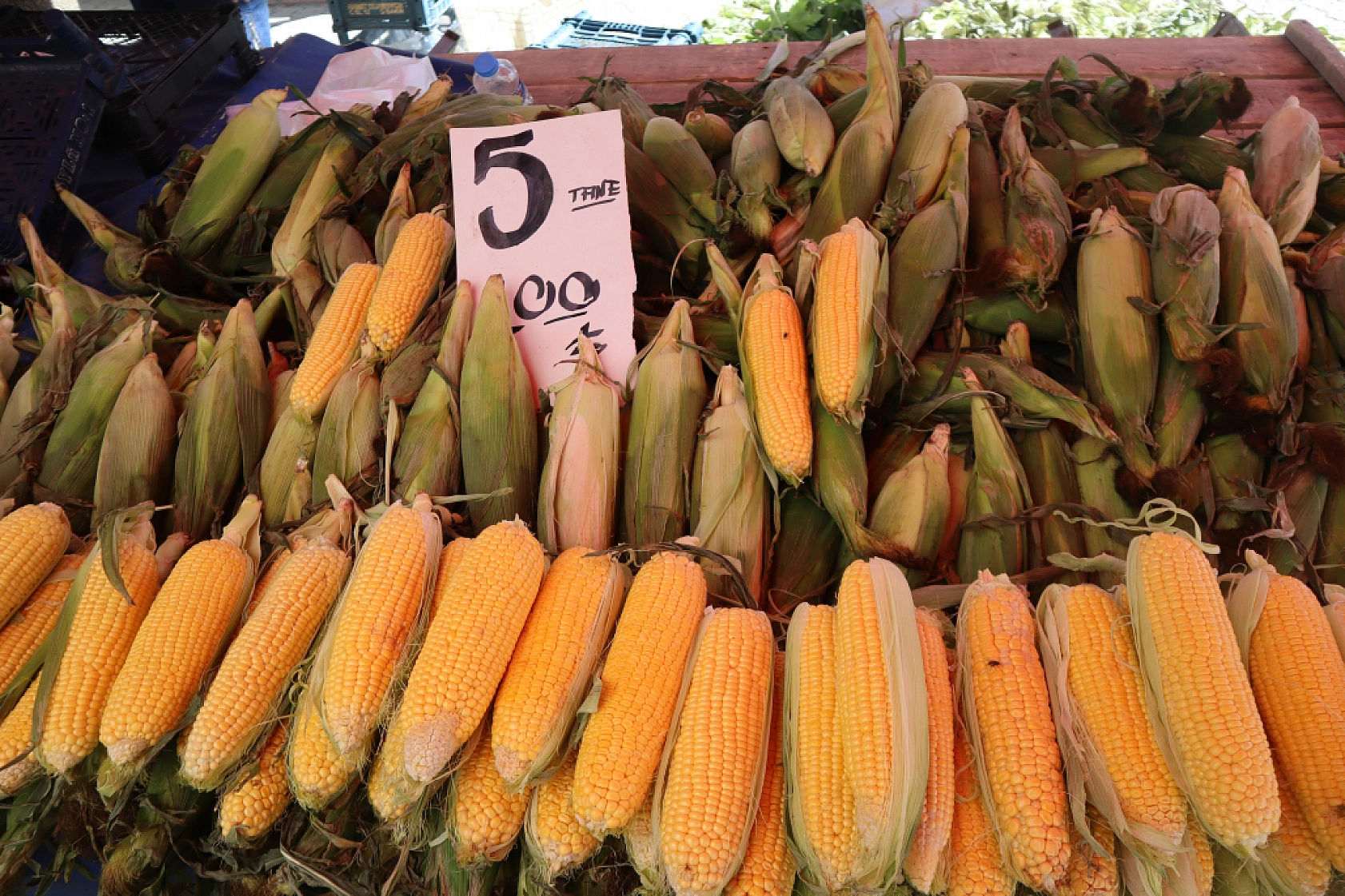 Malatya pazarlarında fiyatlar eriyor: Domates 30, salatalık 15 liraya düştü!