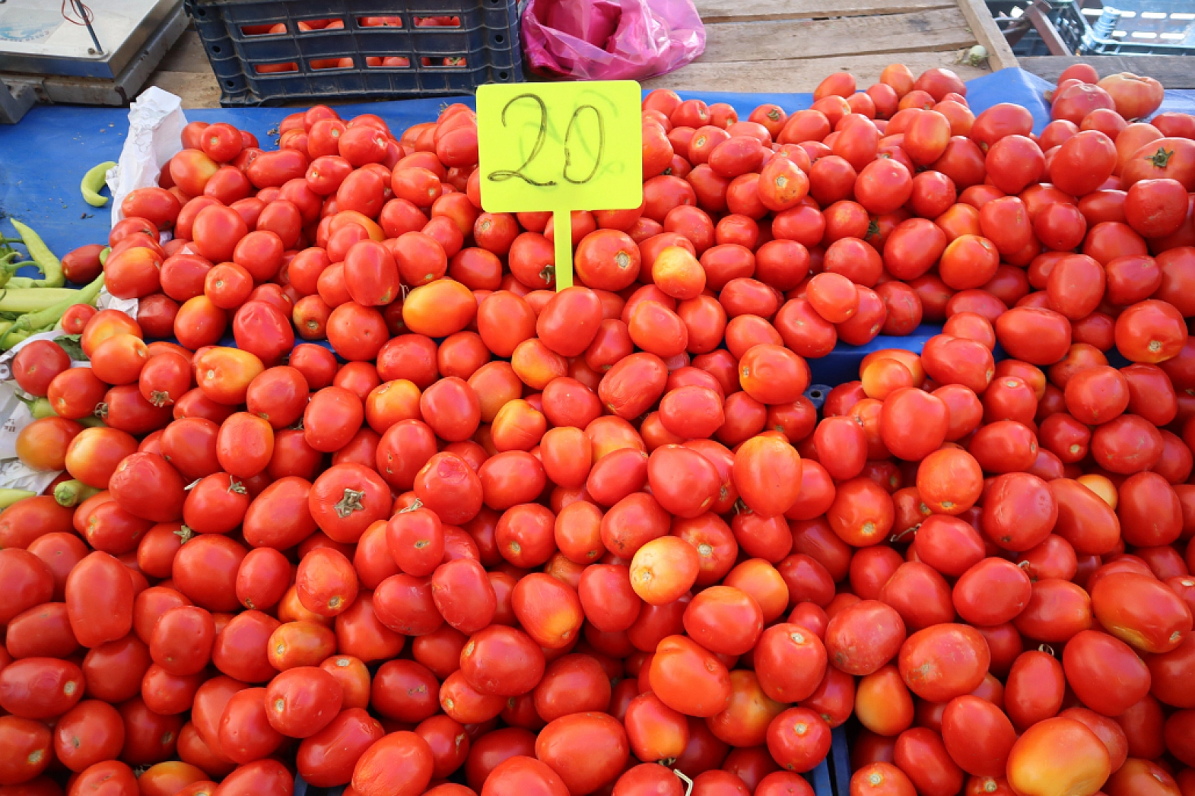 Malatya pazarlarında fiyatlar eriyor: Domates 30, salatalık 15 liraya düştü!