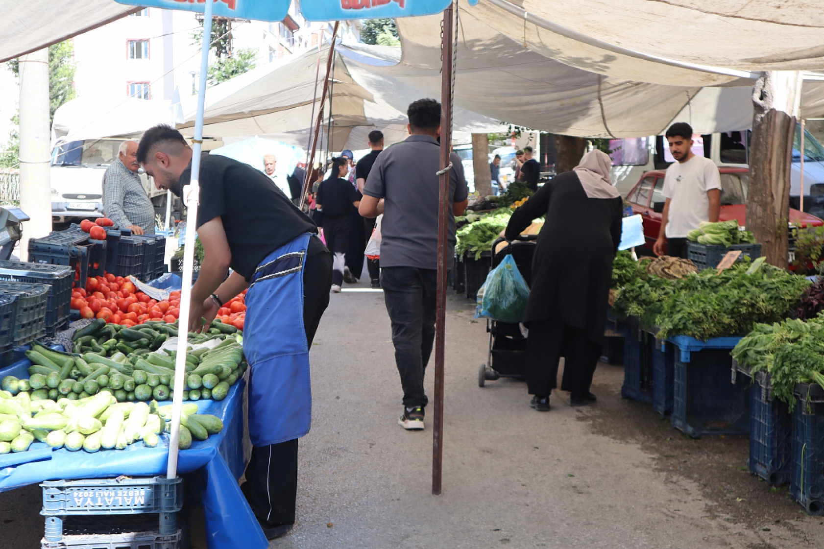 Malatya pazarlarında fiyatlar eriyor: Domates 30, salatalık 15 liraya düştü!