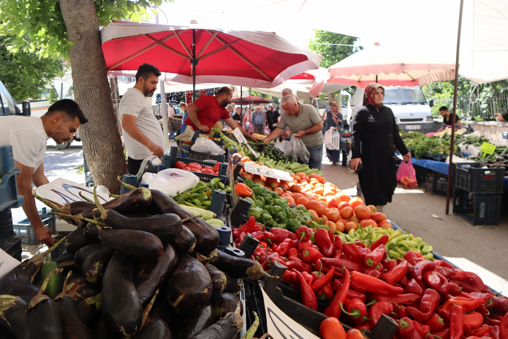 Malatya pazarlarında fiyatlar eriyor: Domates 30, salatalık 15 liraya düştü!