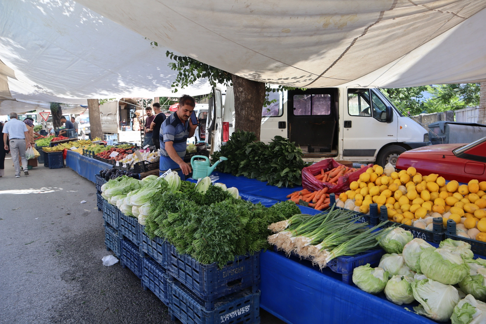 Malatya pazarlarında fiyatlar eriyor: Domates 30, salatalık 15 liraya düştü!