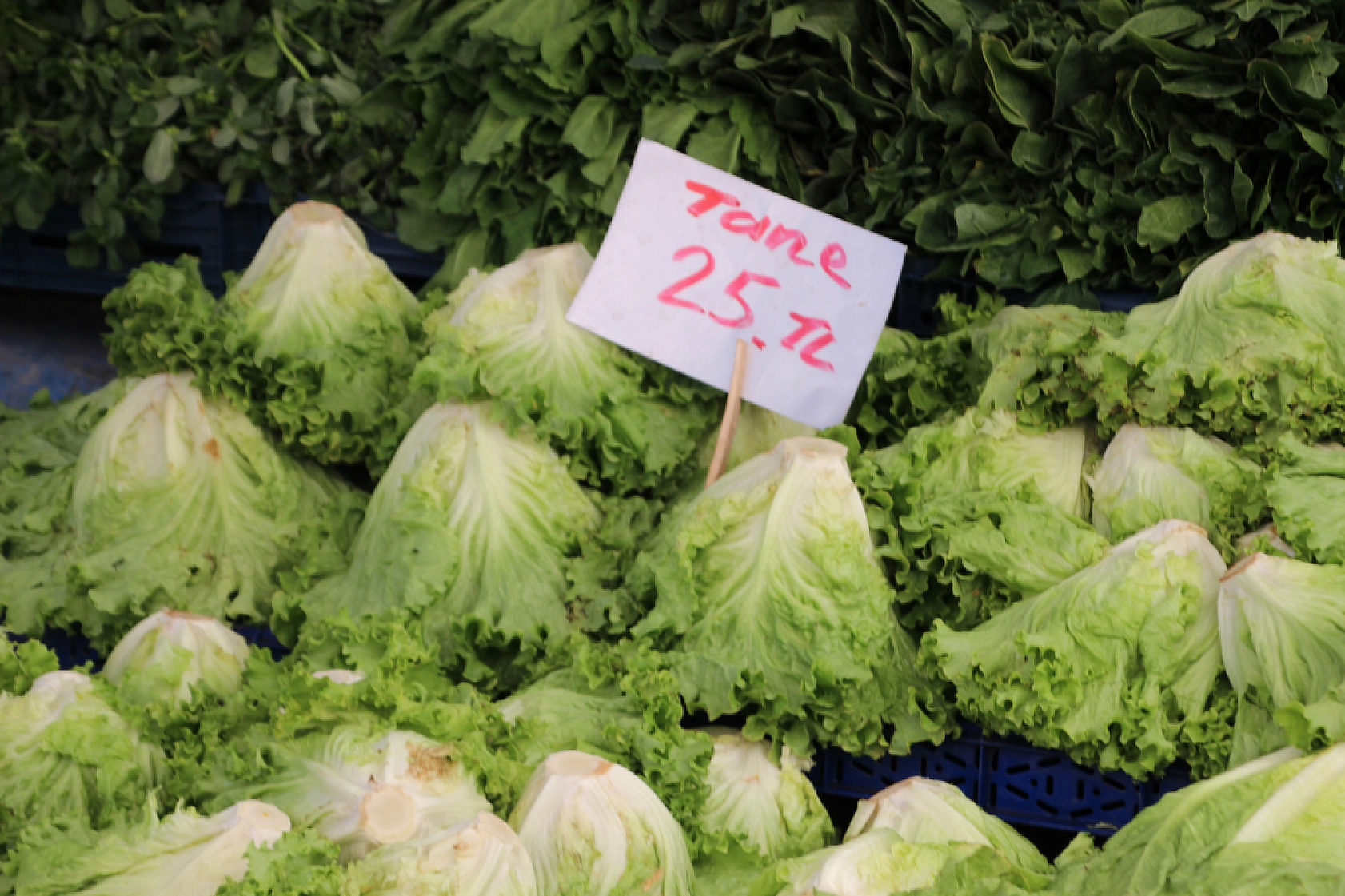 Malatya'da Pazar, Fiyatları Düşüyor mu? İşte Perşembe Pazar Fiyatları...