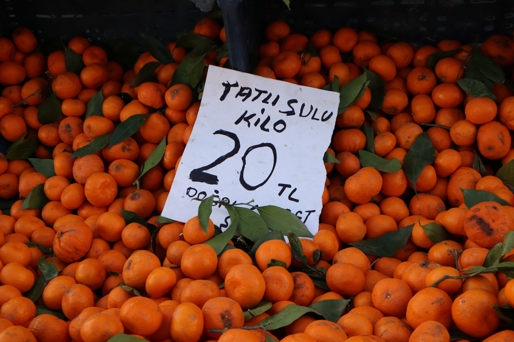 Malatya'da Ramazan öncesi fiyatlar yüz güldürmedi! Semt pazarında tezgahlara yaklaşılmadı!