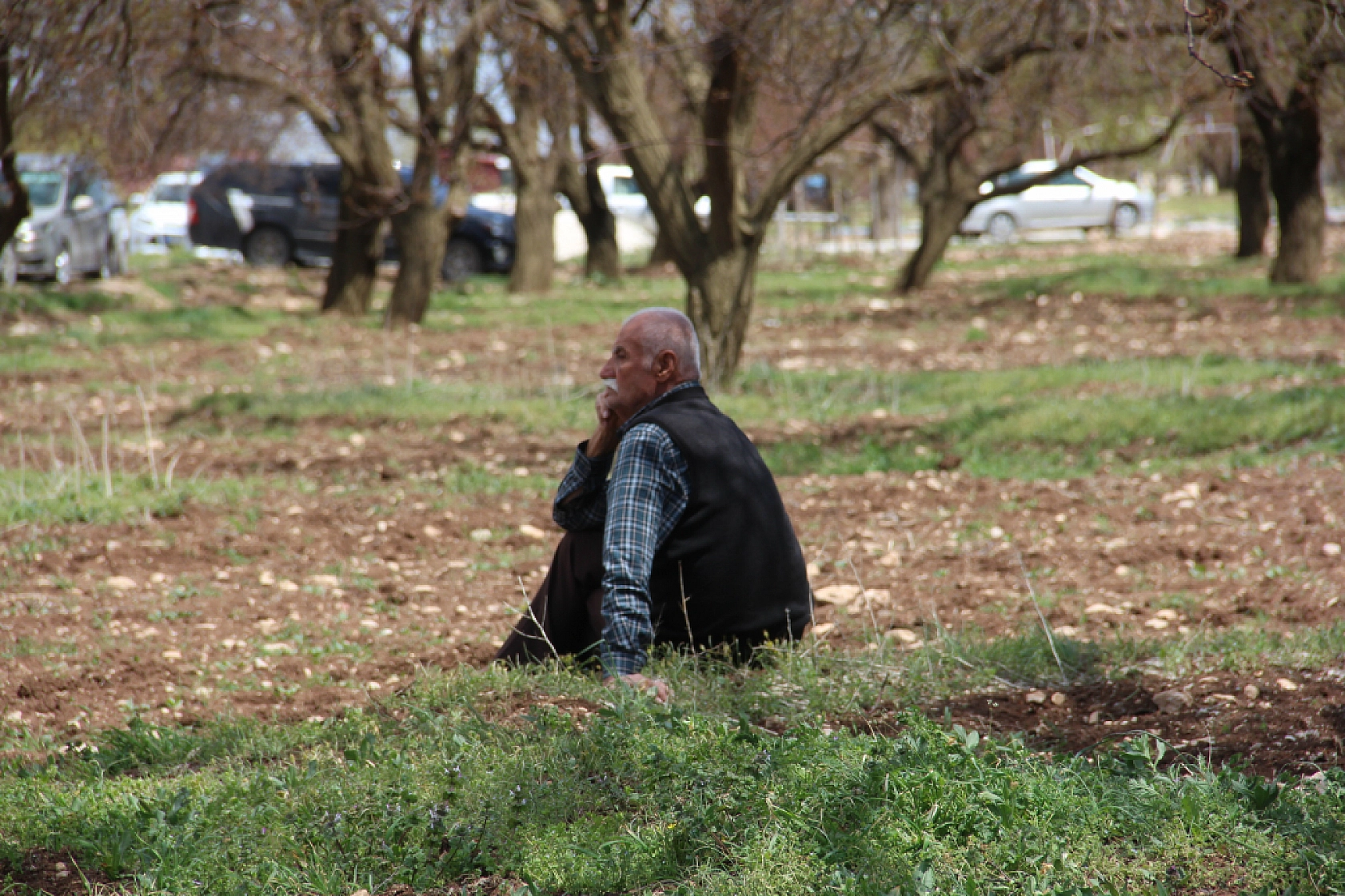 Bayraktar'dan TARSİM'e çağrı: Don ve kuraklık karşısında çiftçi yalnız bırakılıyor...