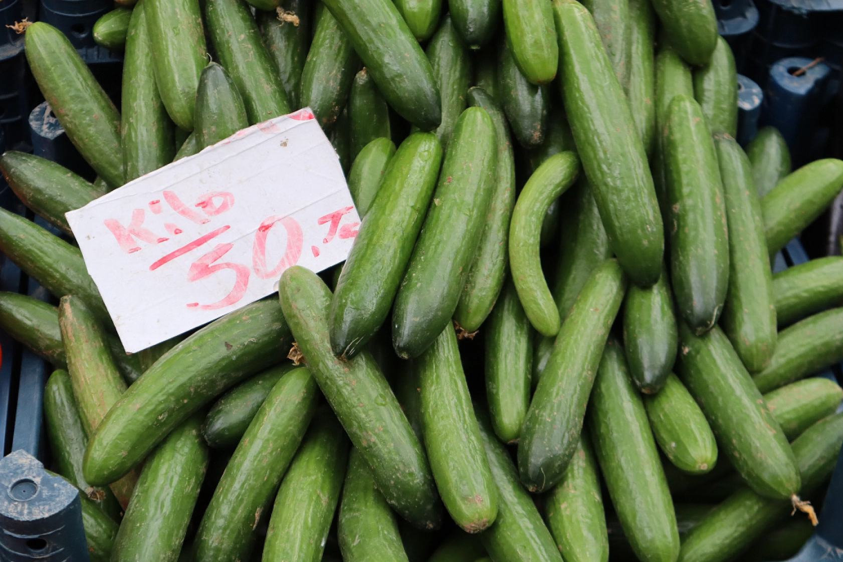 Soğuklar Sebze Fiyatlarını Vurdu: Pazarlar Ateş Pahası! İşte Güncel Meyve Sebze Fiyatları...