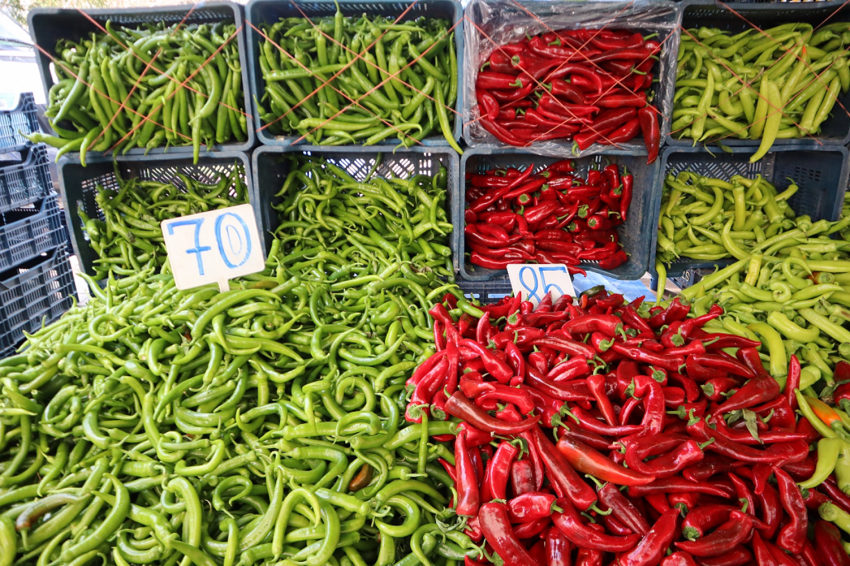 Pazarda şok fiyatlar! Domates 25 liraya kadar düştü…