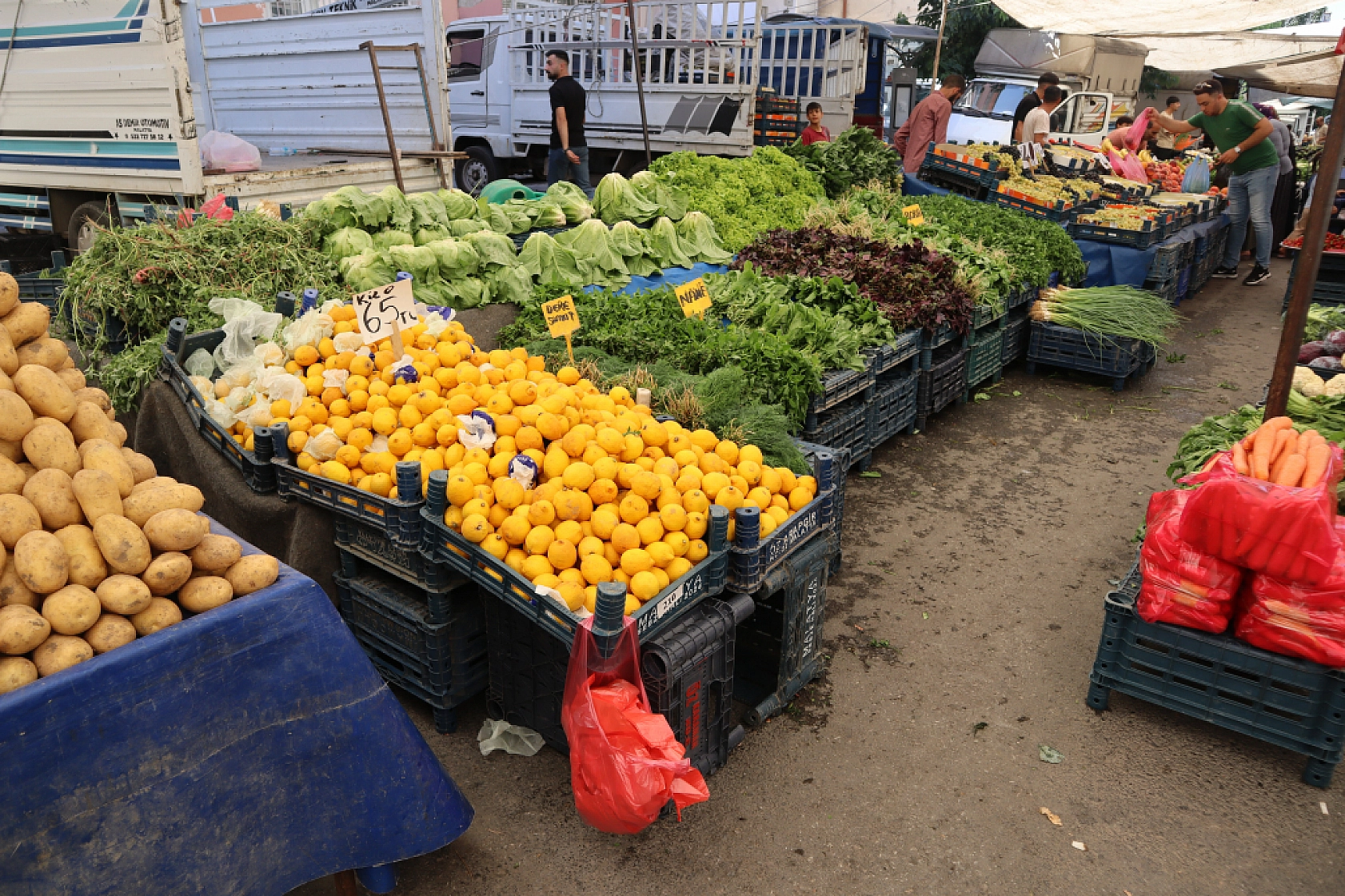 Malatya'da Sebze ve Meyve Fiyatları Düştü Mü? Ne Kadar oldu? İşte Güncel Cuma Pazarı Fiyatları...