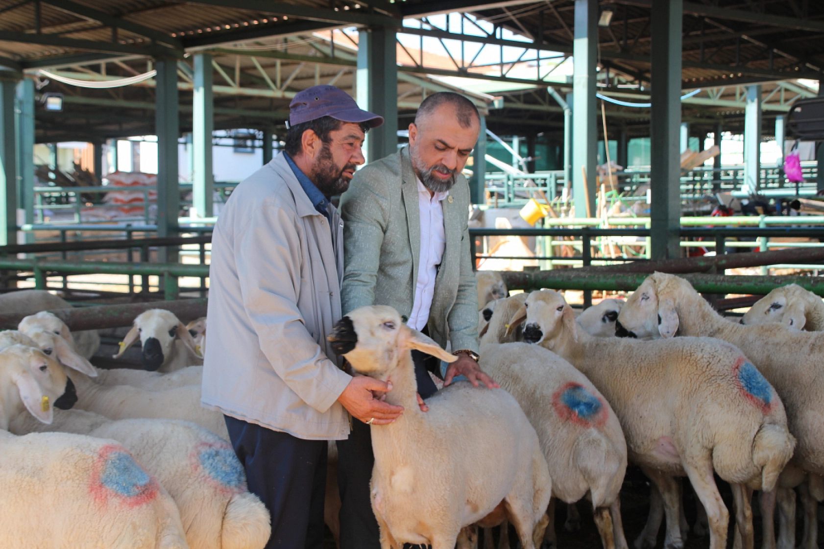 Sahte para ve çeklere dikkat! Yetiştiriciler bayram öncesi uyarıldı...!