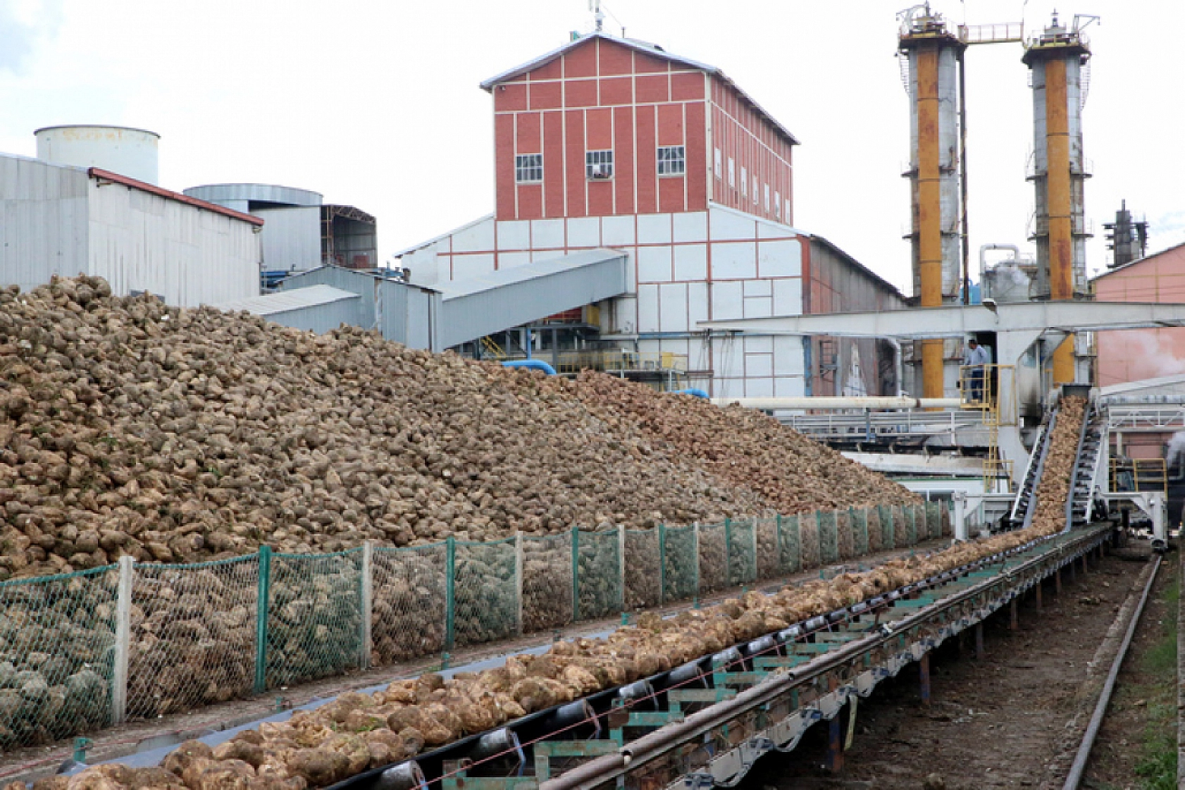 Malatya'da Pancar Alım Fiyatı Beklentiyi Karşıladı Mı? Üretici Ne Diyor?