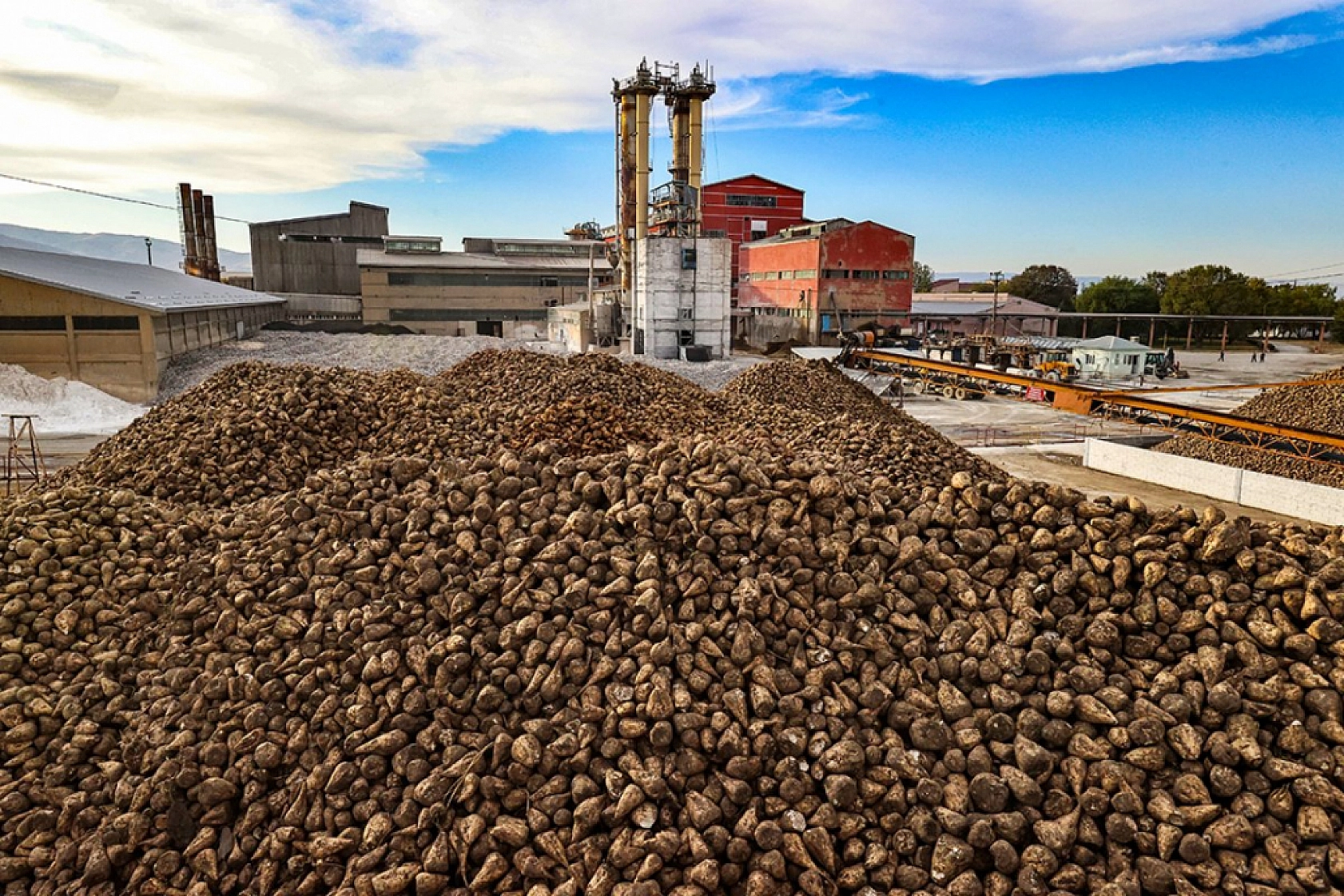 Malatya'da Pancar Alım Fiyatı Beklentiyi Karşıladı Mı? Üretici Ne Diyor?
