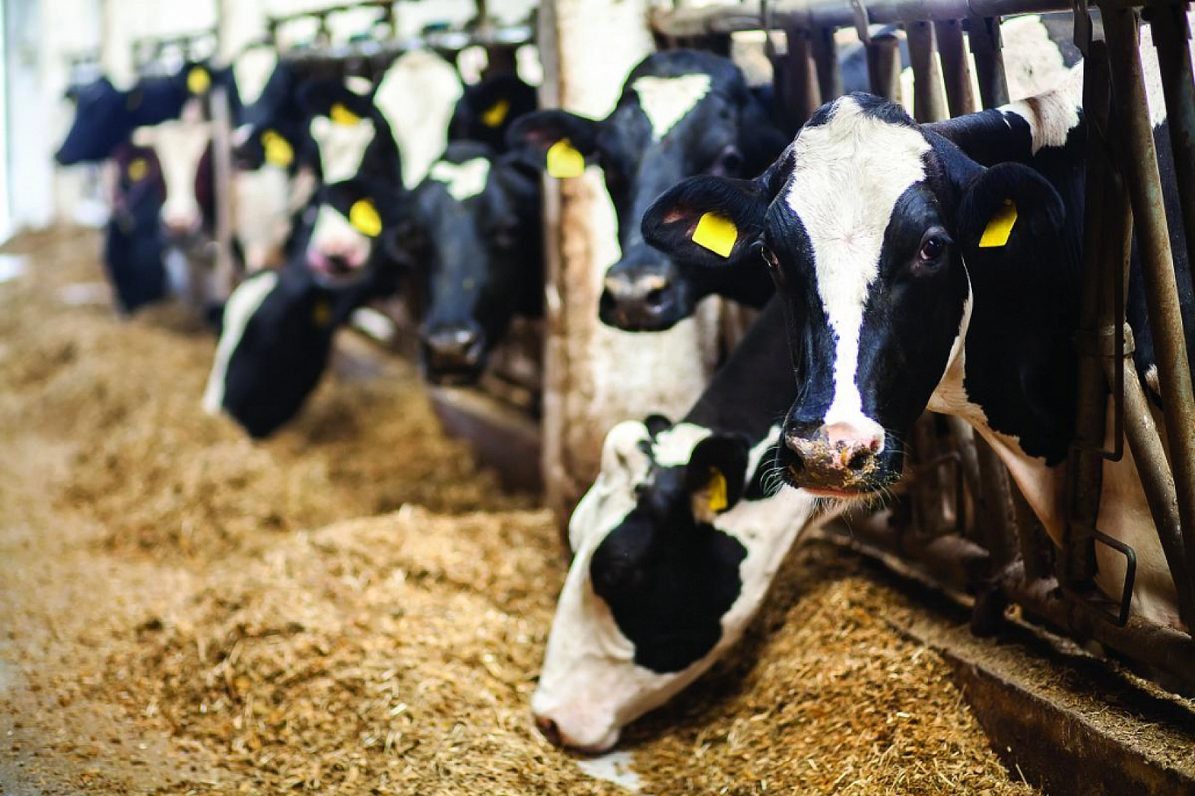 Malatya'da Milyonluk İhale: Kasalar Dolacak!