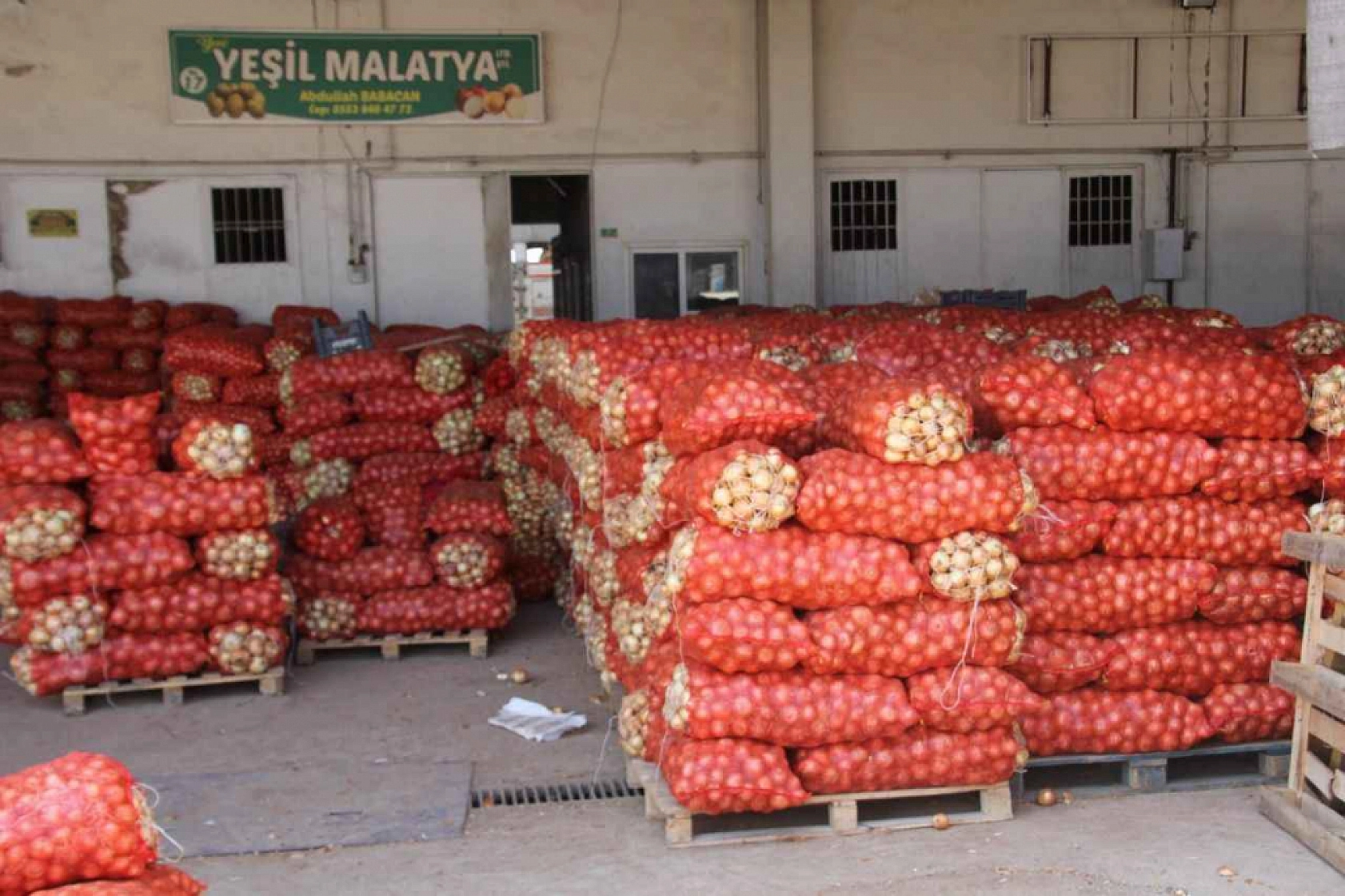 Malatya'da 5 Kasım Hal Fiyatları: Meyve-Sebze Fiyatları Ne Kadar? İşte Yanıtı…