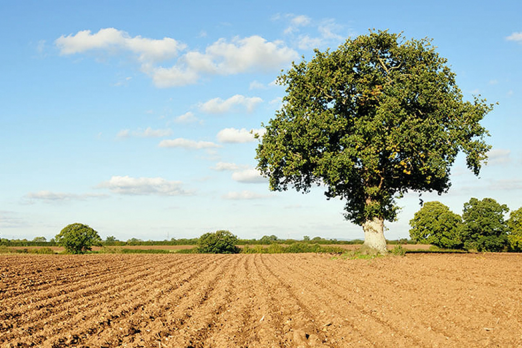 Malatya'da arsa satışı başlıyor! Yüzde 25 peşin, 24 ay vade seçeneği olacak