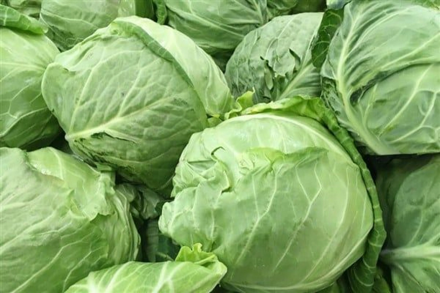 Kış Alışverişlerinde Zirveye Yerleşen O Oldu! En Çok Tercih Edilen Besin Belli Oldu!