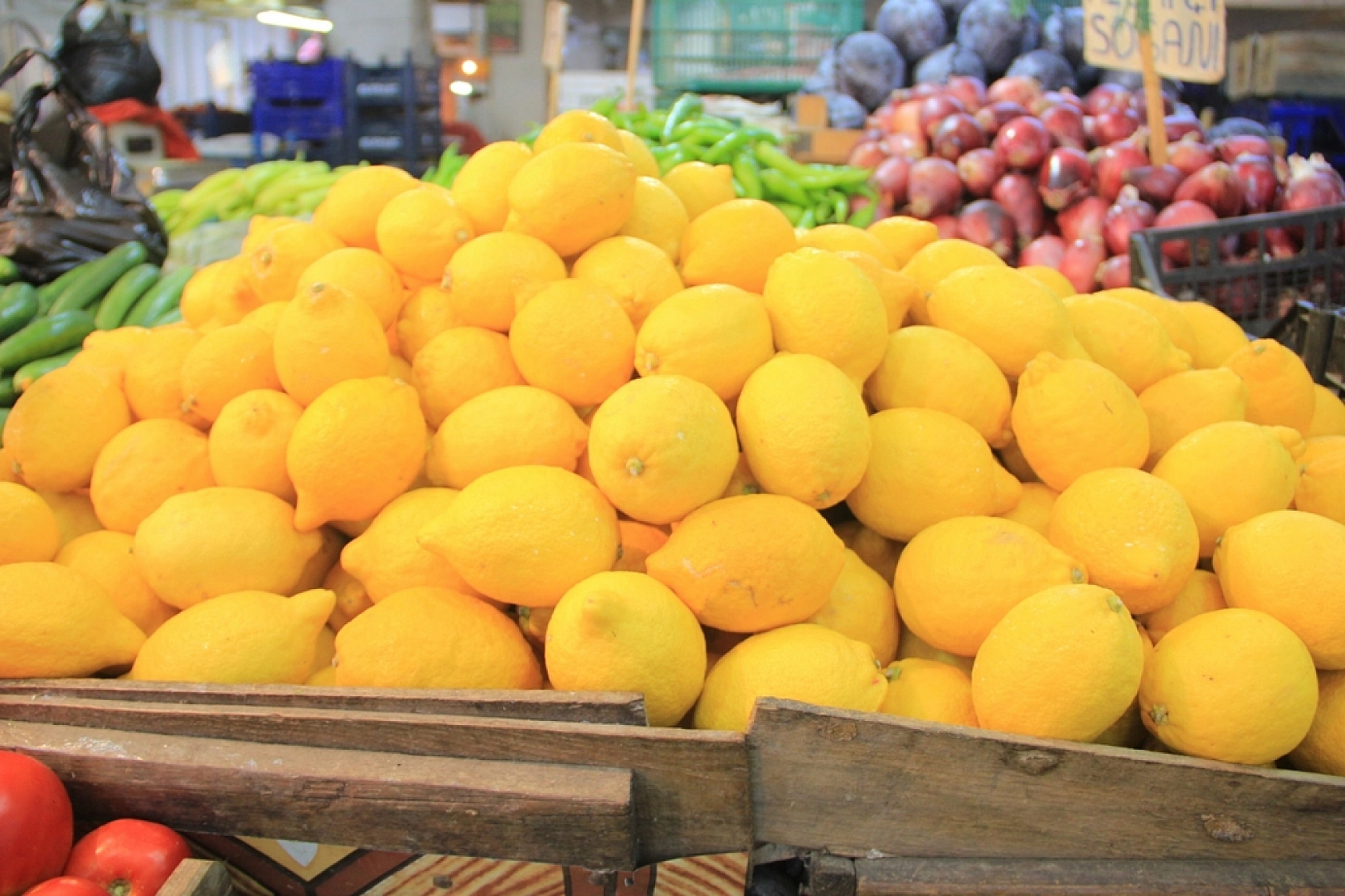 Malatya Hal Pazarı fiyatları açıklandı: Zamlar etiketlere yansıdı mı?
