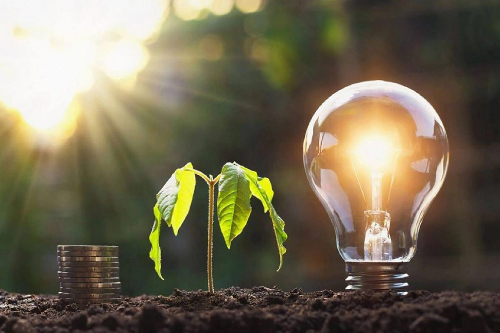 Dünya Bankasından 1,9 Milyar Dolarlık Finansman: Malatya da Yararlanacak!