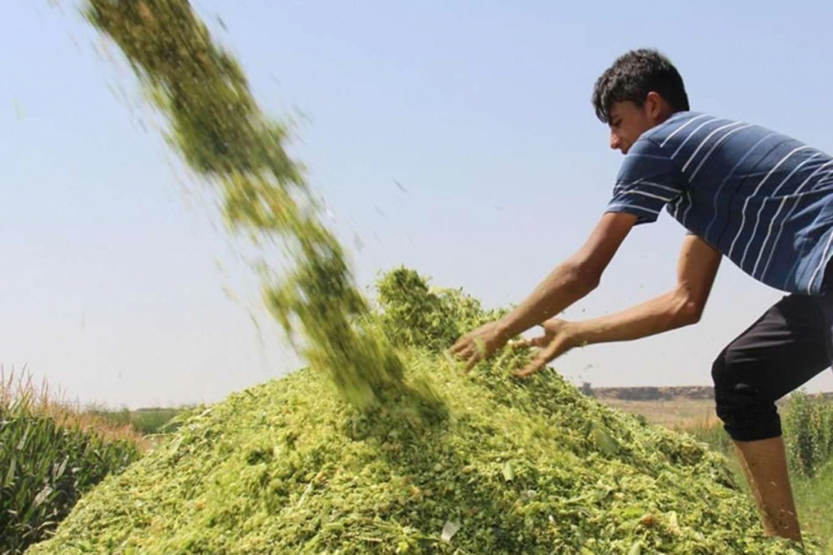 Malatyalılar dikkat: Hesaplarınızı kontrol edin ödemeler yatıyor…