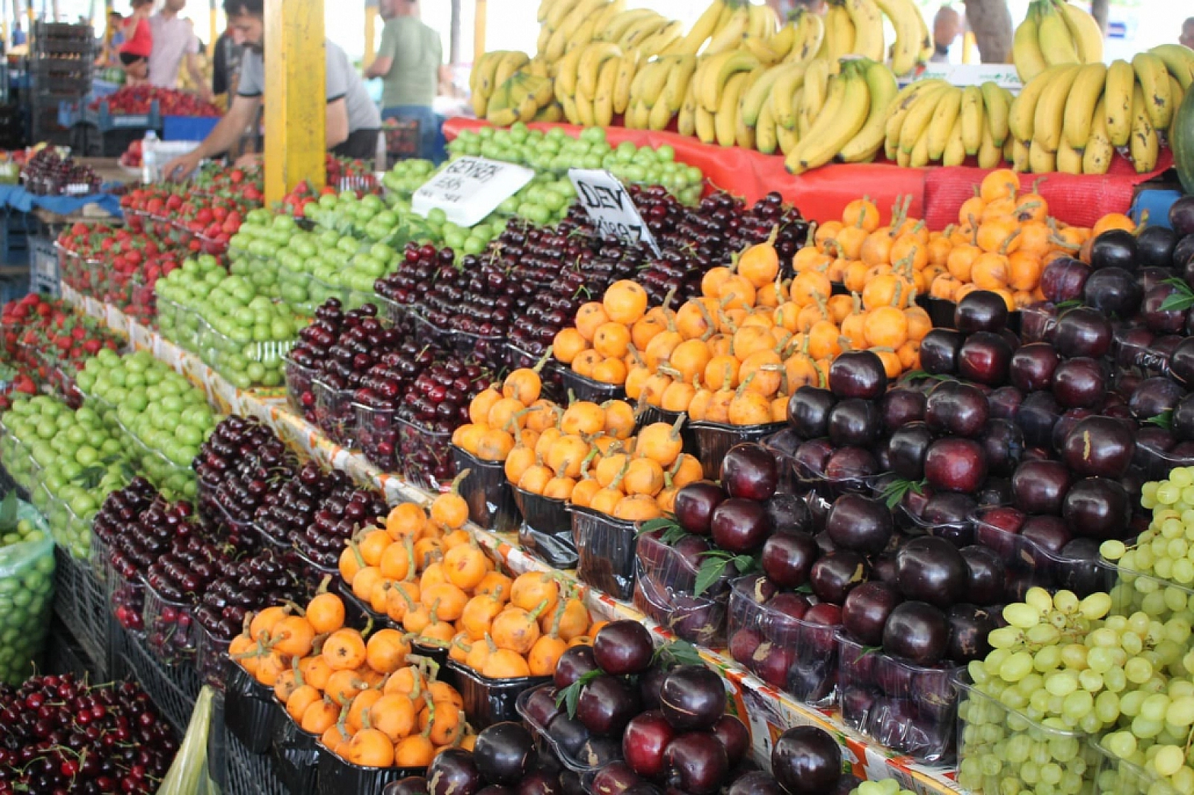 Malatya'da 5 Kasım Hal Fiyatları: Meyve-Sebze Fiyatları Ne Kadar? İşte Yanıtı…