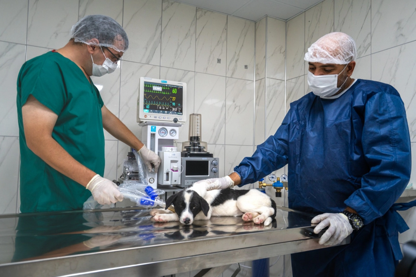 Hayvan Hastanesi Hizmete Girdi