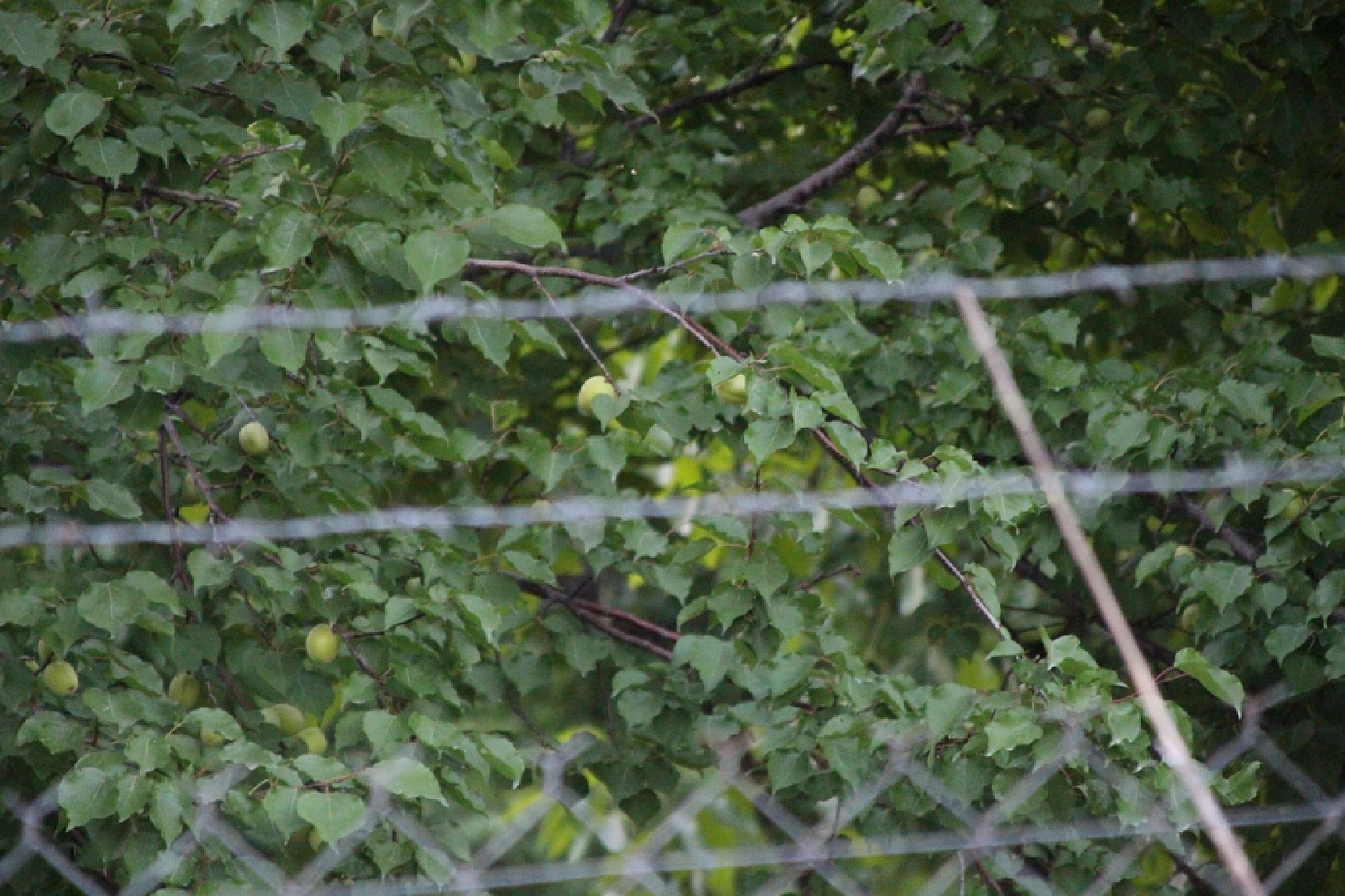 Malatya ve Elazığ Bölgede Birinci...!