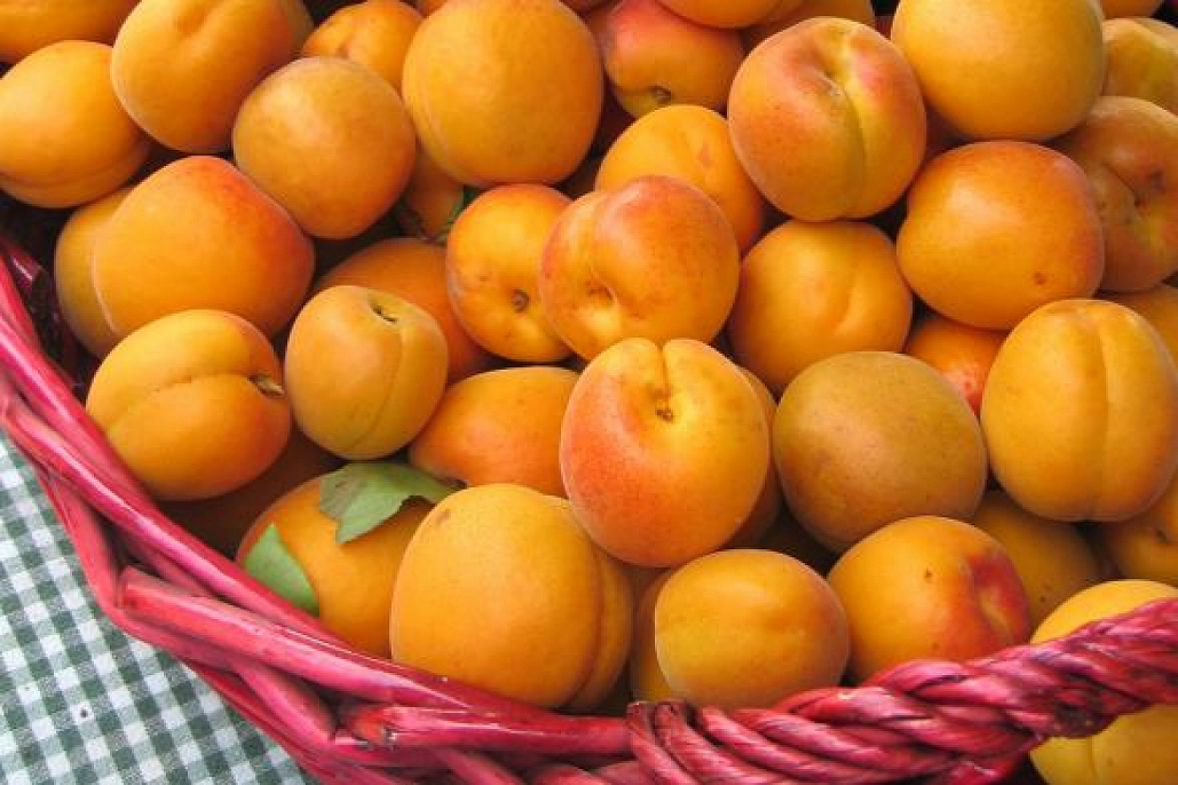 'Hani Özbek Kayısısı Gelmemişti?'