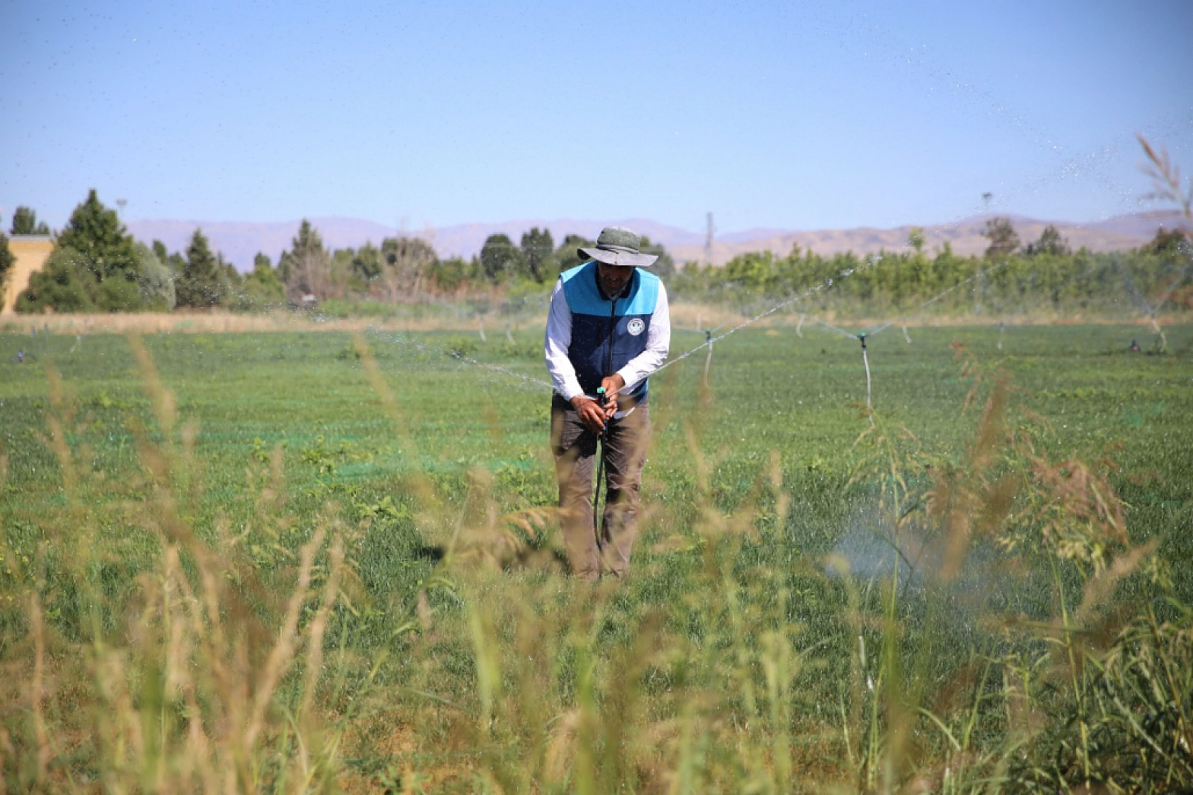 Malatya'da büyük yatırım: 40 bin metrekarelik alan yeşile kavuşuyor