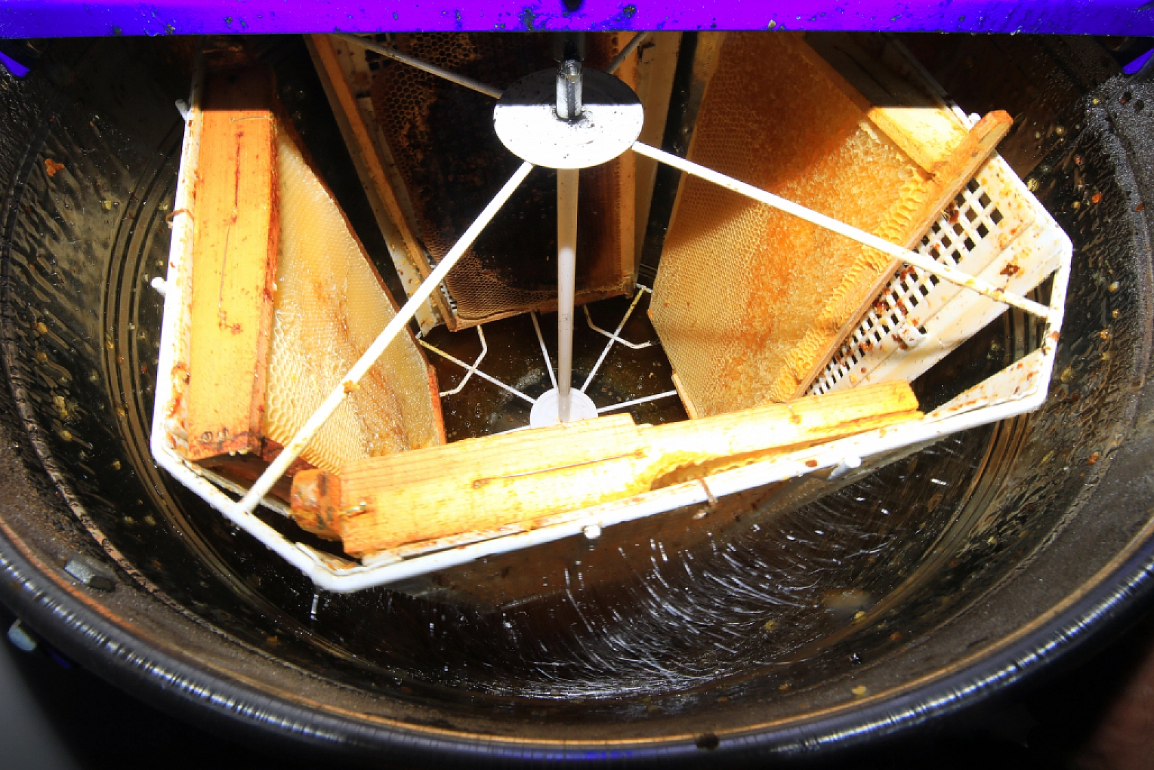 Keven balında hasat zamanı