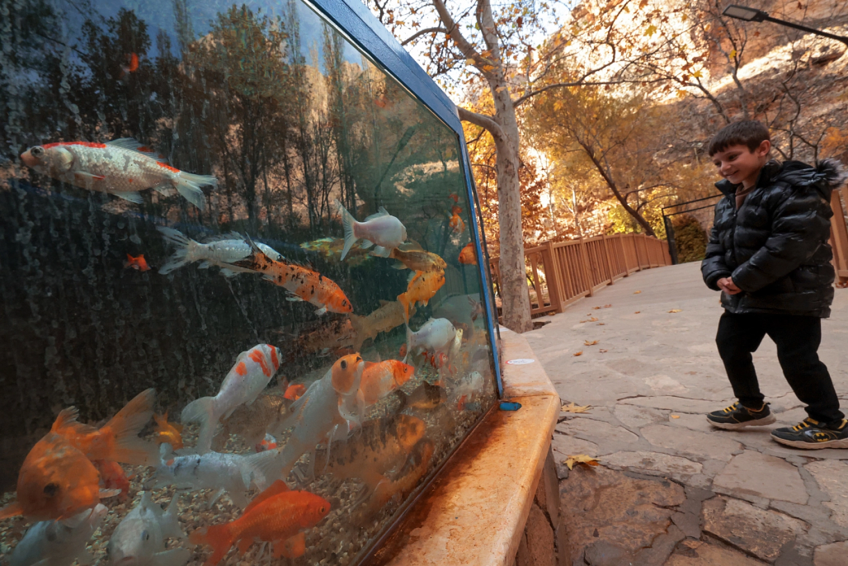 Sonbaharın Renk Cümbüşü: Günpınar Şelalesi'nde Göz Kamaştıran Görüntüler