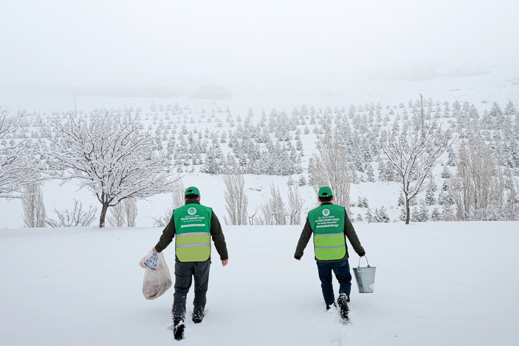 Yaban hayvanları için yem bırakıldı