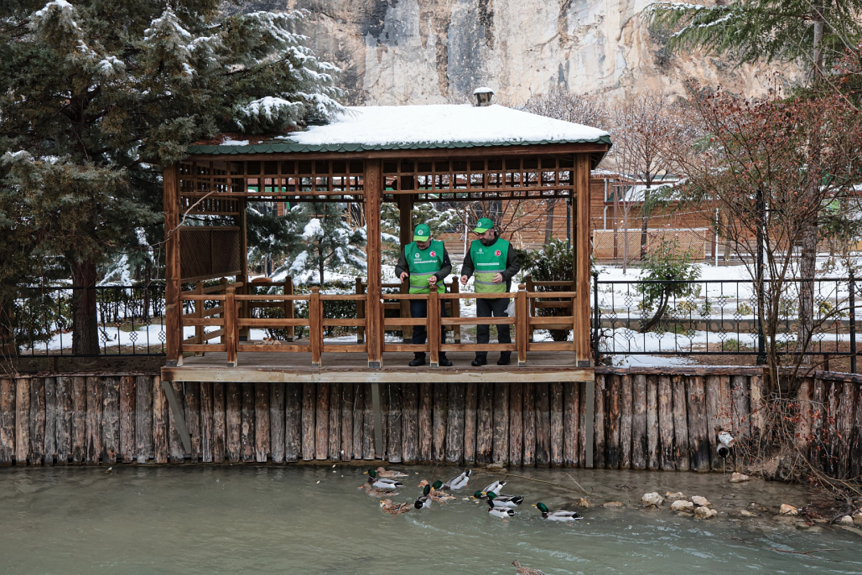 Yaban hayvanları için yem bırakıldı