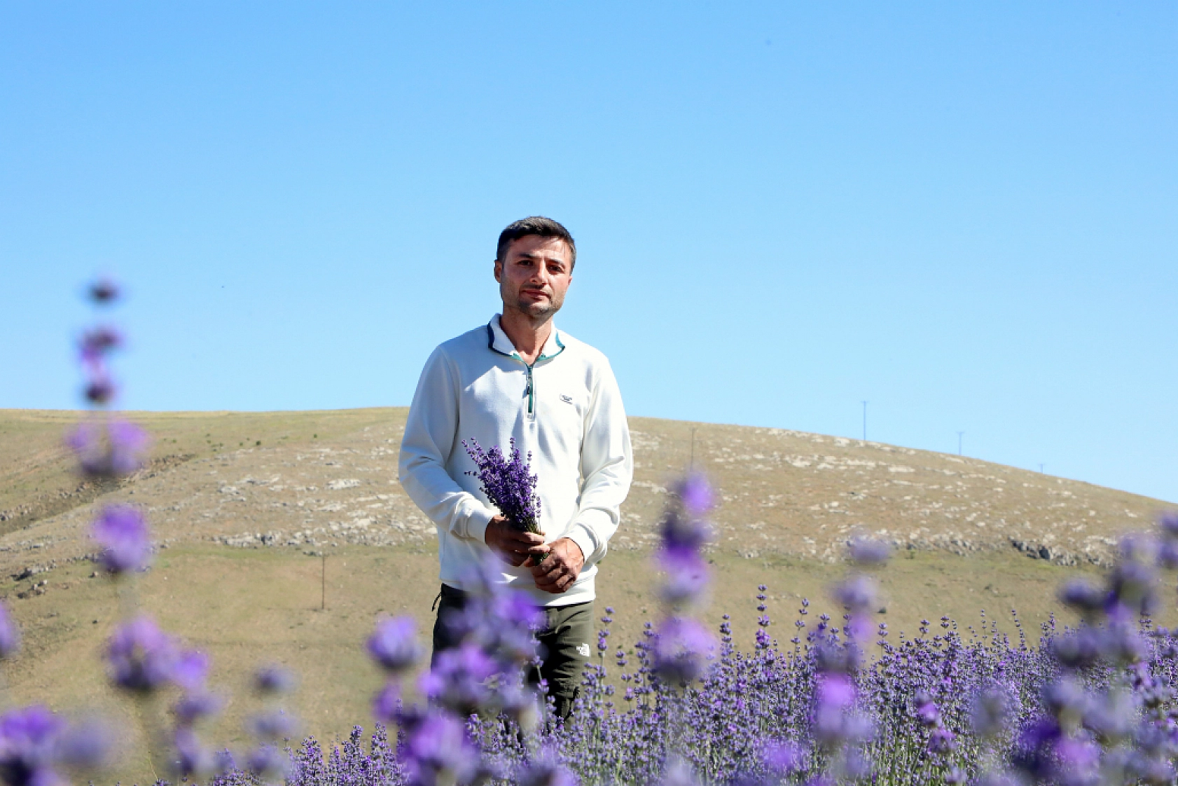Malatya'da kayısıya anternatif olarak üretilmeye başlandı: 2 bin rakımda, 5 dönümlük arazide üretiliyor...