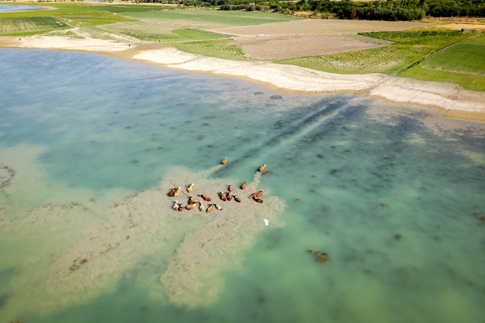 Malatya'da kuraklık alarm veriyor! Yağışlarda yüzde 25-35 azalma, buharlaşmada yüzde 15 artış!