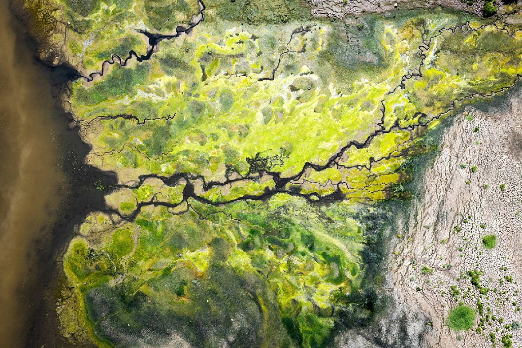 Malatya'da kuraklık alarm veriyor! Yağışlarda yüzde 25-35 azalma, buharlaşmada yüzde 15 artış!