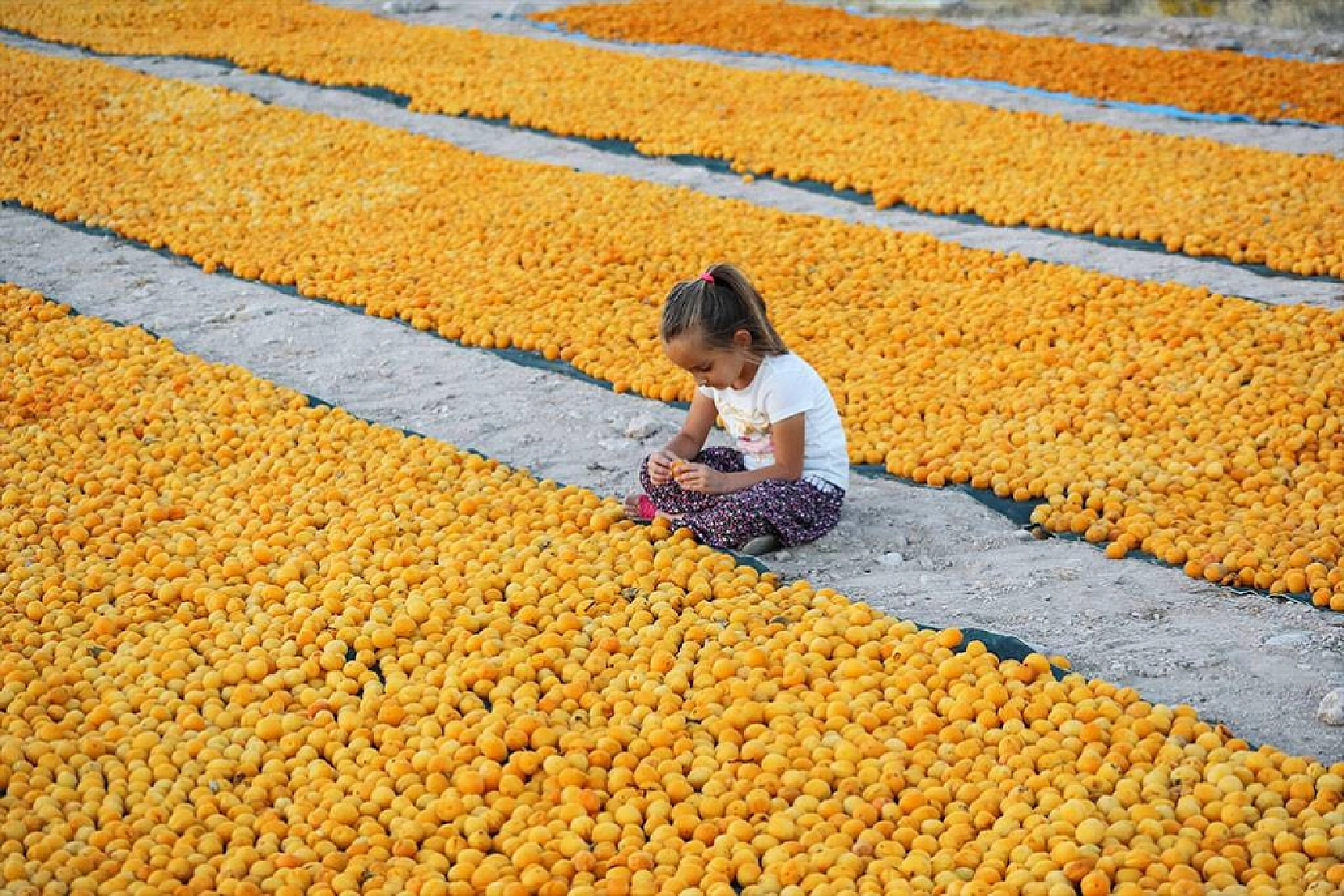 Malatya adının Hititçe kökeni ne anlama geliyor?