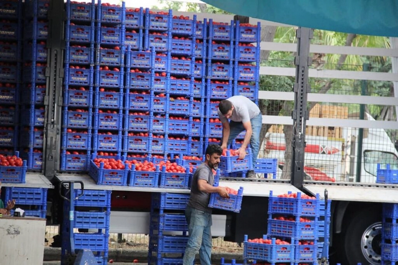 Malatya'da 5 Kasım Hal Fiyatları: Meyve-Sebze Fiyatları Ne Kadar? İşte Yanıtı…