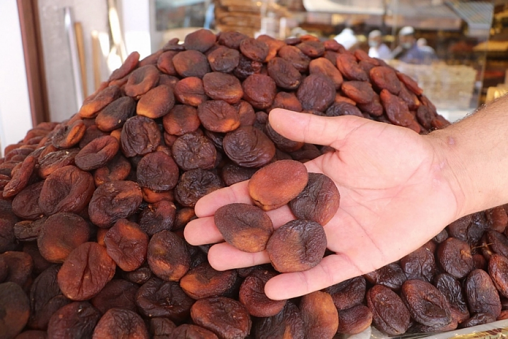 Ağbaba'dan Kayısı Alımı Açıklaması! Fiyatlar Beklentinin Altında!