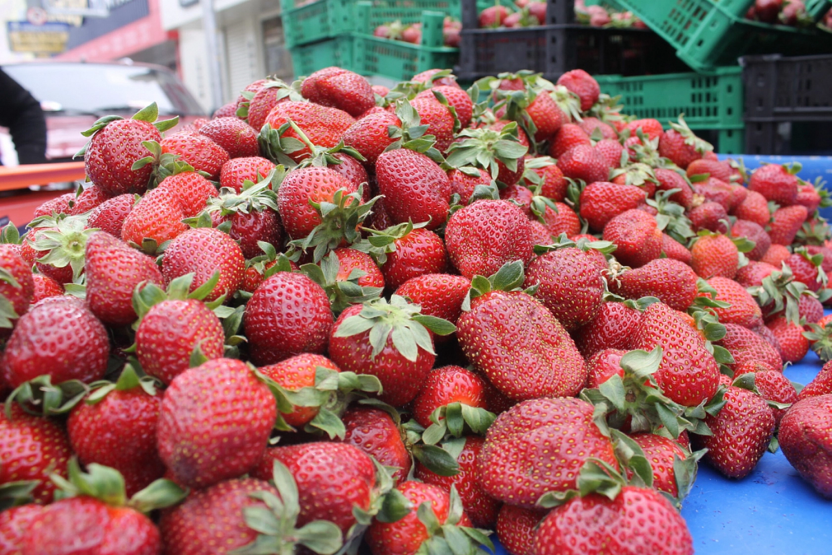 Malatya Hal Pazarı Fiyatları Açıklandı: En Ucuz Sebze ve Meyveler Belli Oldu