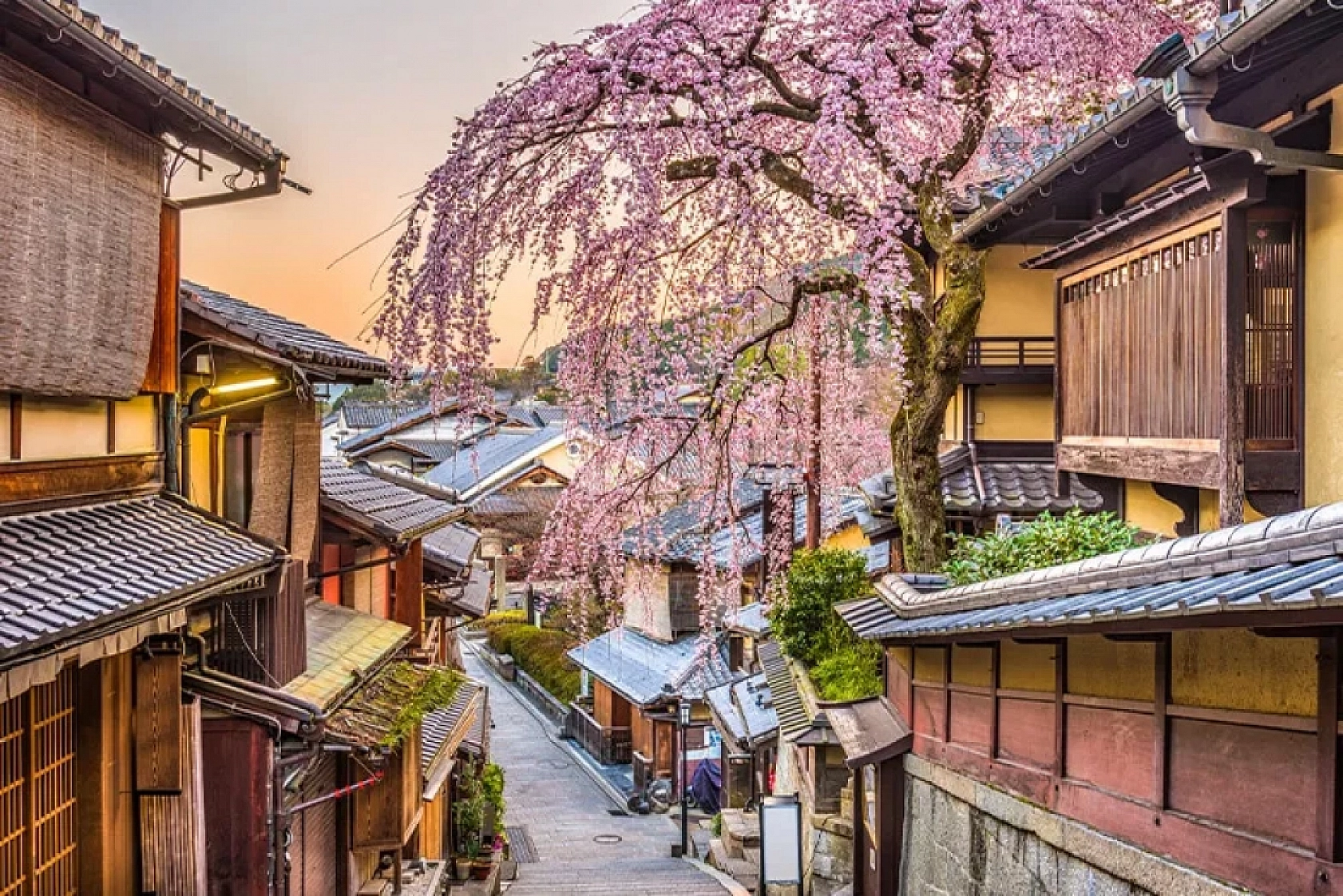 Malatyalılar Müjde: Kimlik veya Pasaportla giriş yapılacak ülkeler güncellendi…