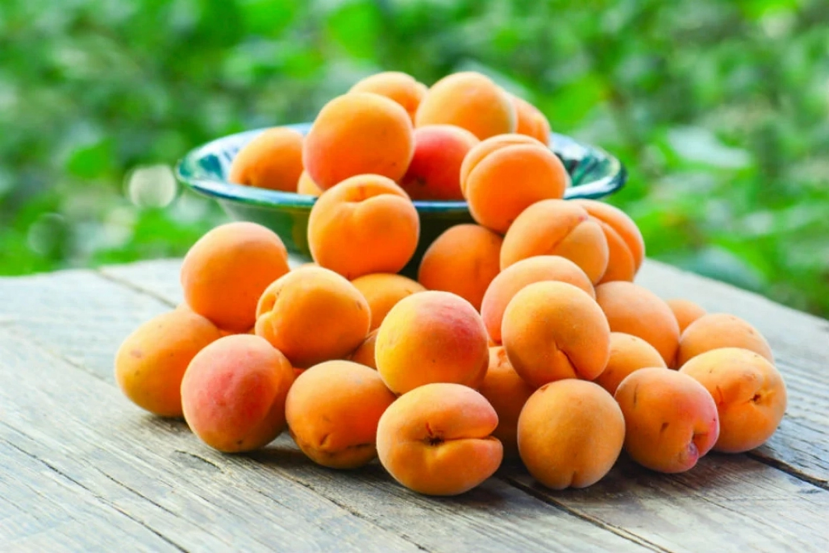 Üreticiler Dikkat: 3 Eylül Kayısı İçin Milat Olacak!