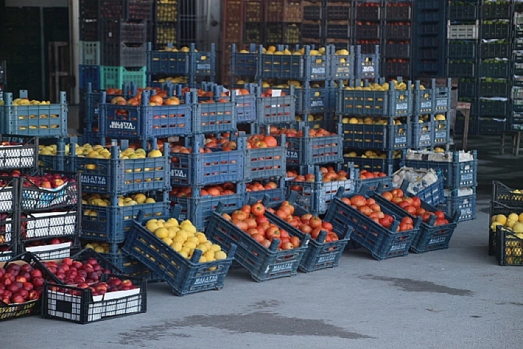 Uygun Fiyata Alışveriş Yapmak İsteyen Vatandaşlar Malatya Haline Koşuyor: Peki Halde Fiyatlar Nasıl? İşte 12 Ocak Fiyat Listesi…