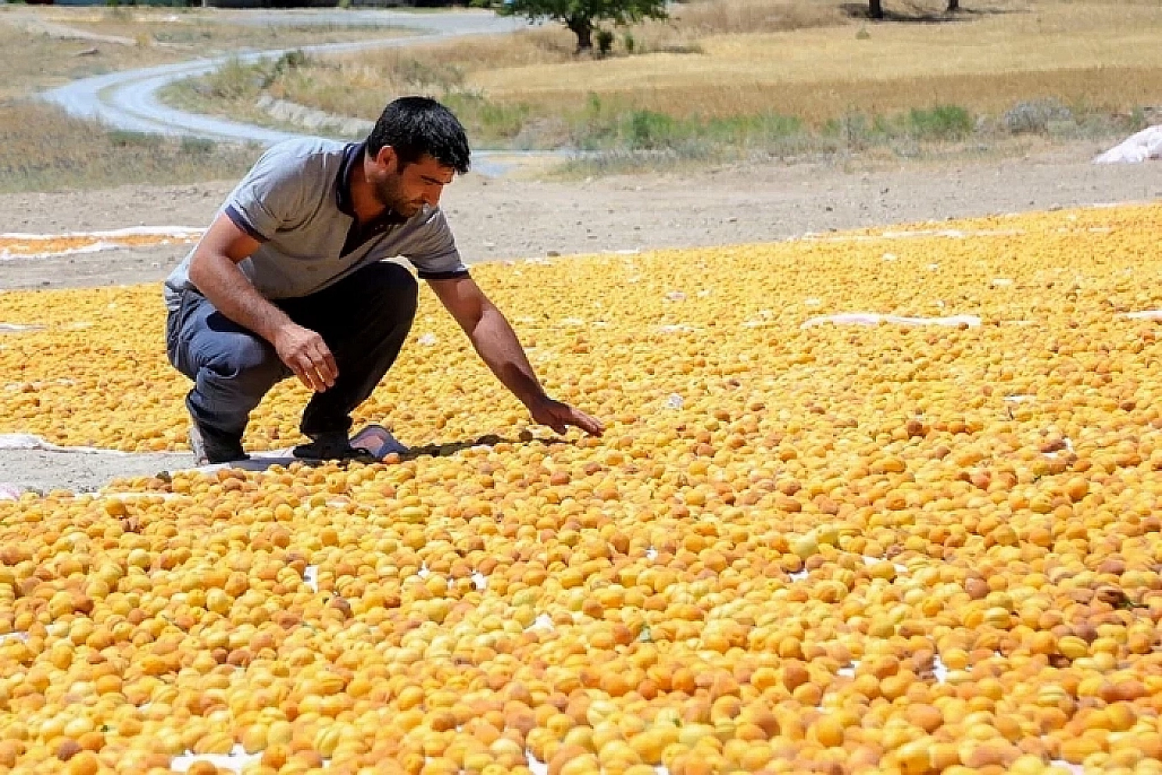 İşçi yevmiyesi belli oldu! Malatya Türkiye üçüncüsü oldu!