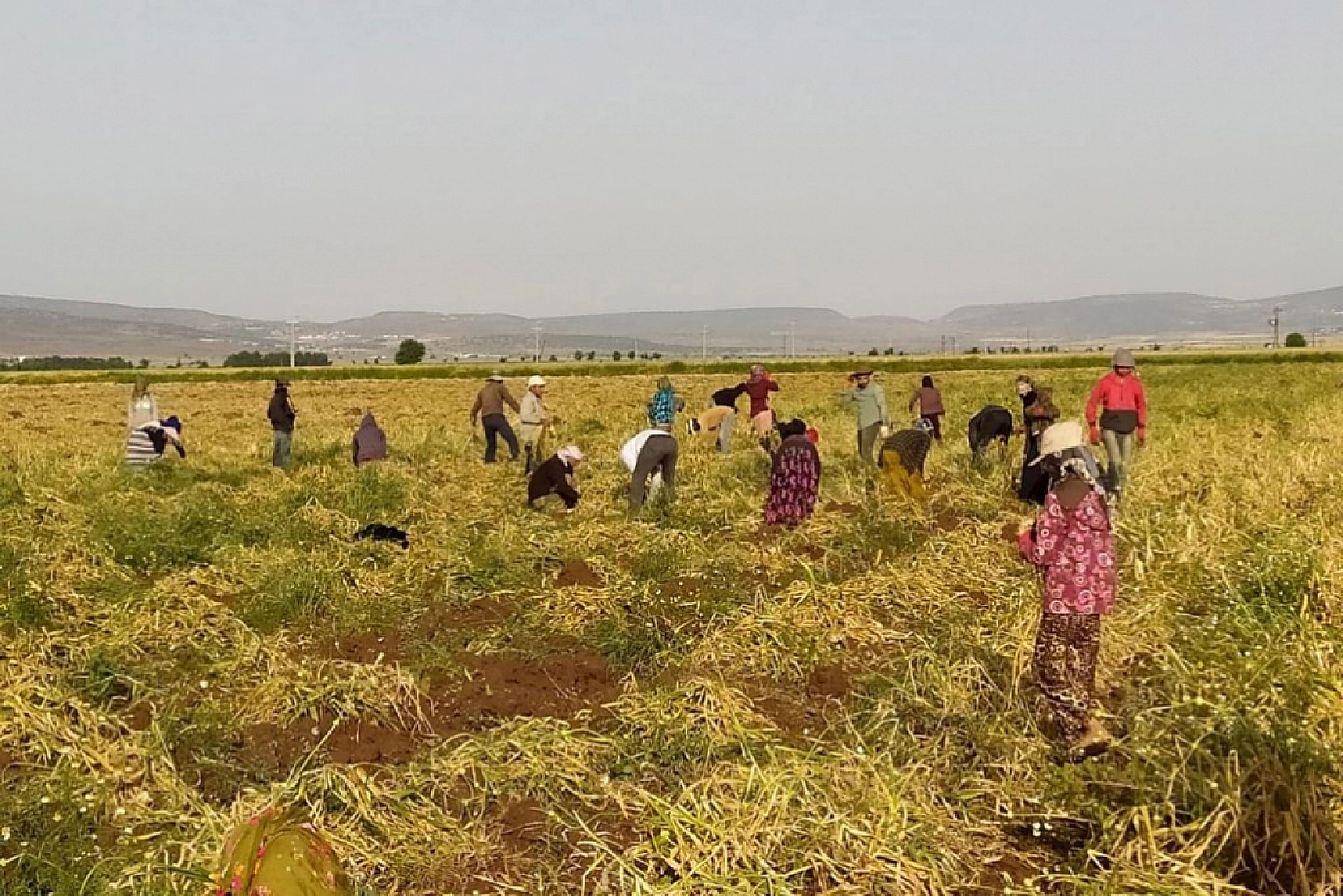 En Hızlı Büyüyen Meslekler Belli Oldu: Zirvedeki Meslek Şaşırttı!