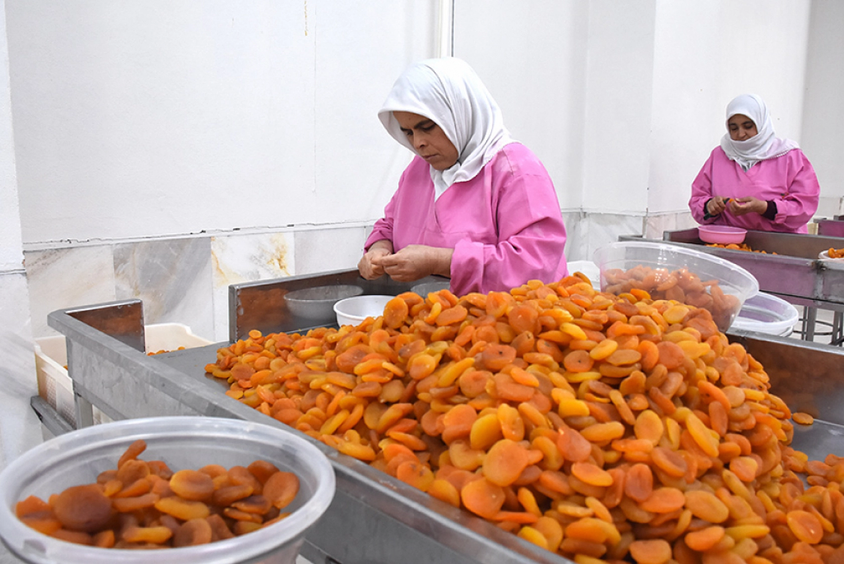 ABD'de Kuru Kayısıya Yoğun İlgi!
