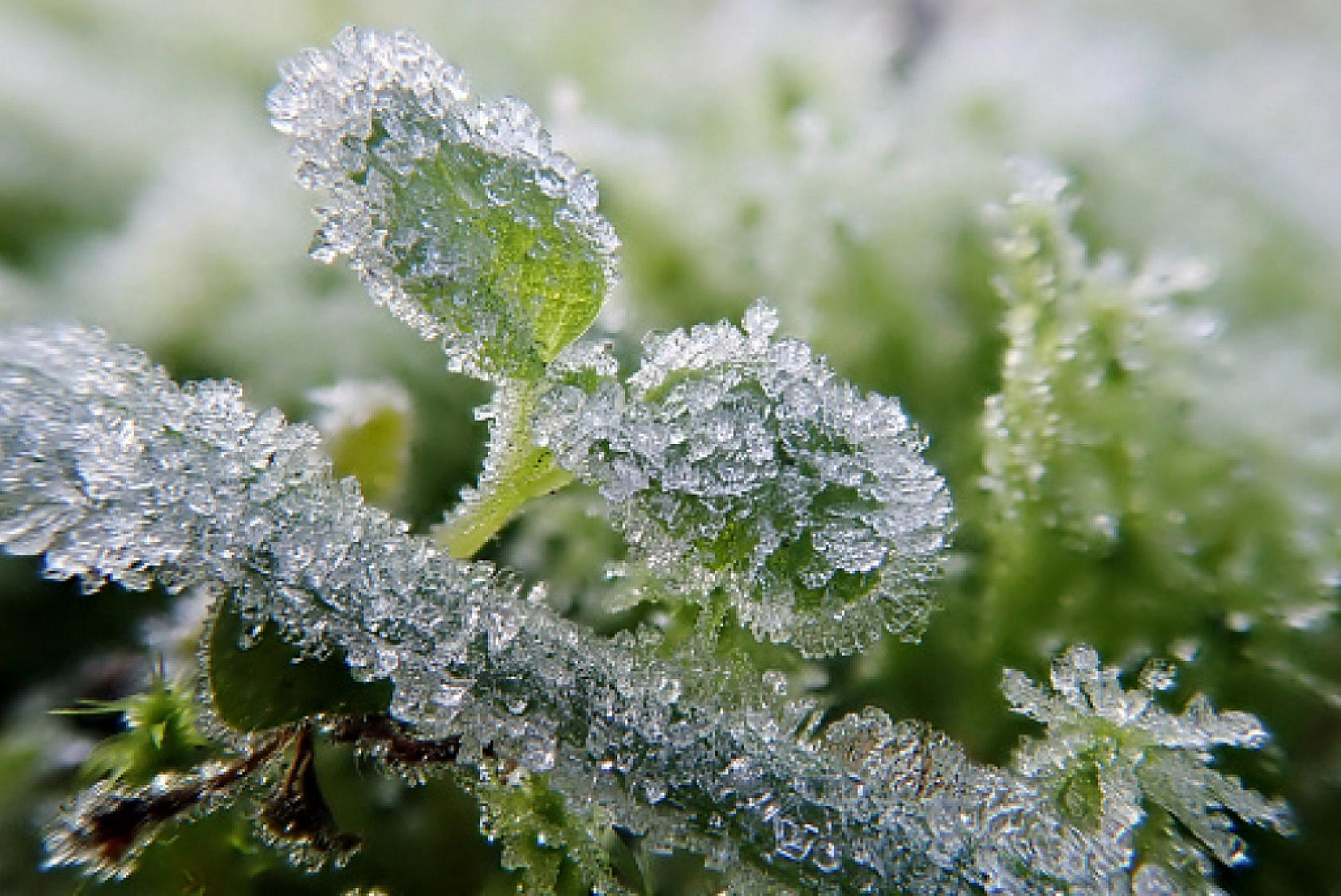 Meteoroloji Uyardı! Malatya İçin Gizli Buzlanma ve Sis Uyarısı Yapıldı…