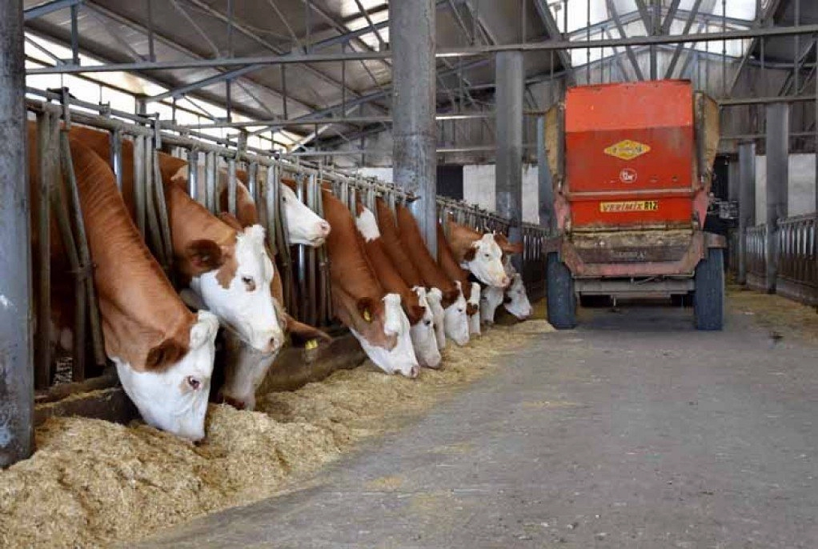 Muş'ta devlet desteğiyle 4,5 milyon liralık tesis