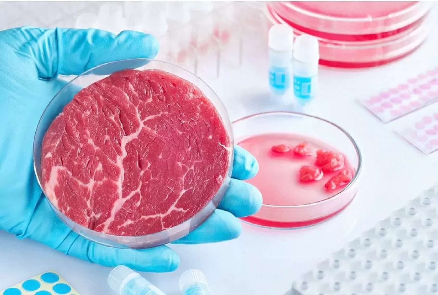 Bakanlık iddiaları yalanladı: 'Yapay et üretimi gerçeği yansıtmıyor'