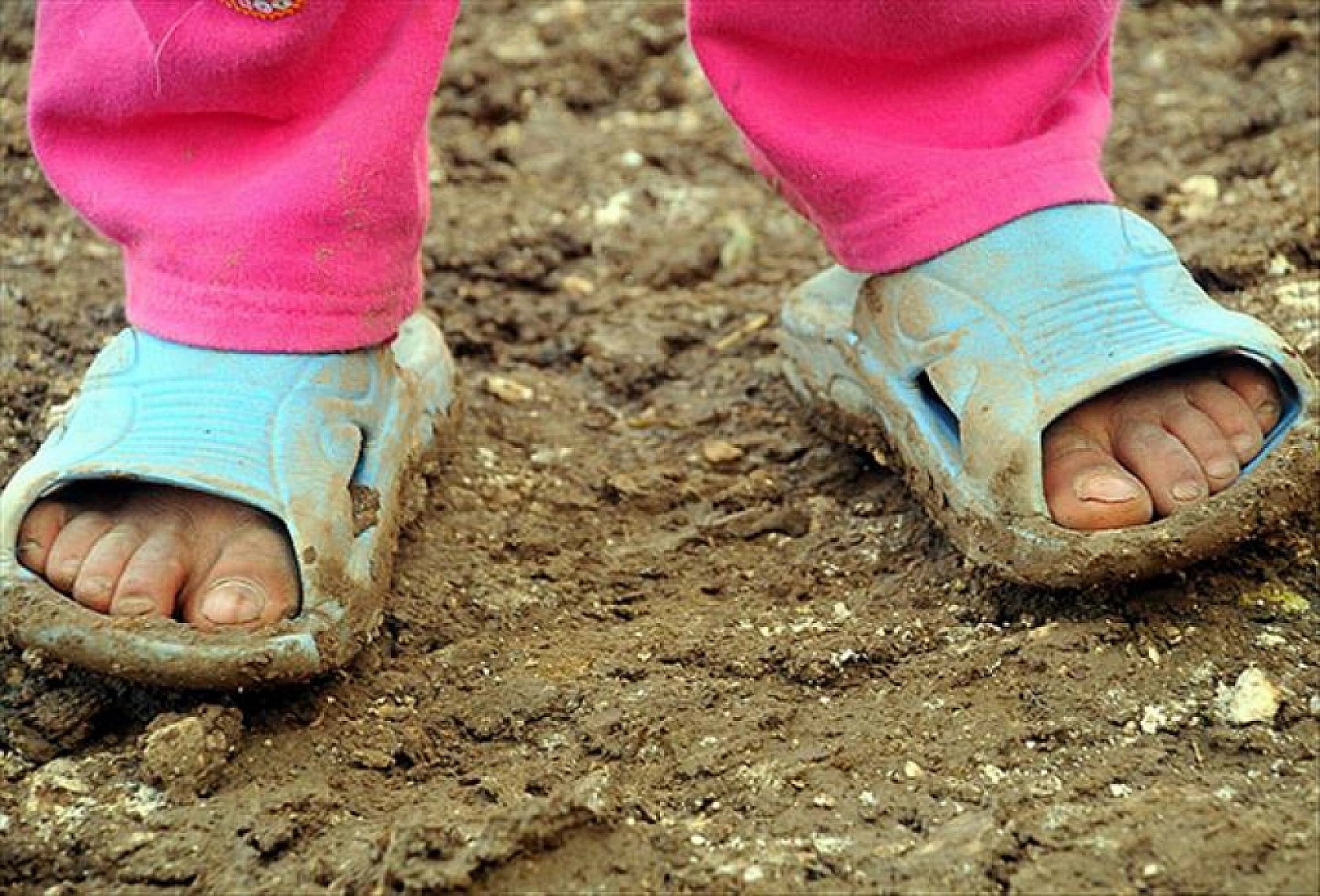 Veriler Şaşırttı: Türkiye'de Yoksulluk Artarken Malatya'da Azaldı!