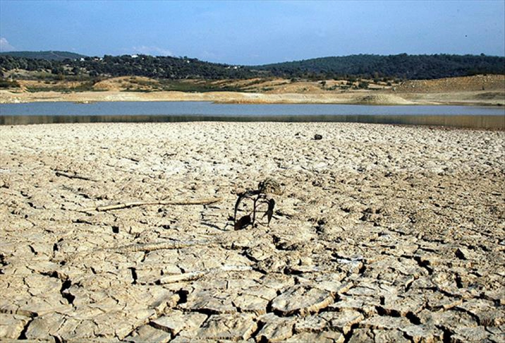 5 yılda pandemi, deprem, zirai don şimdi de kuraklık! Afetler Malatya'nın yakasını bırakmıyor…