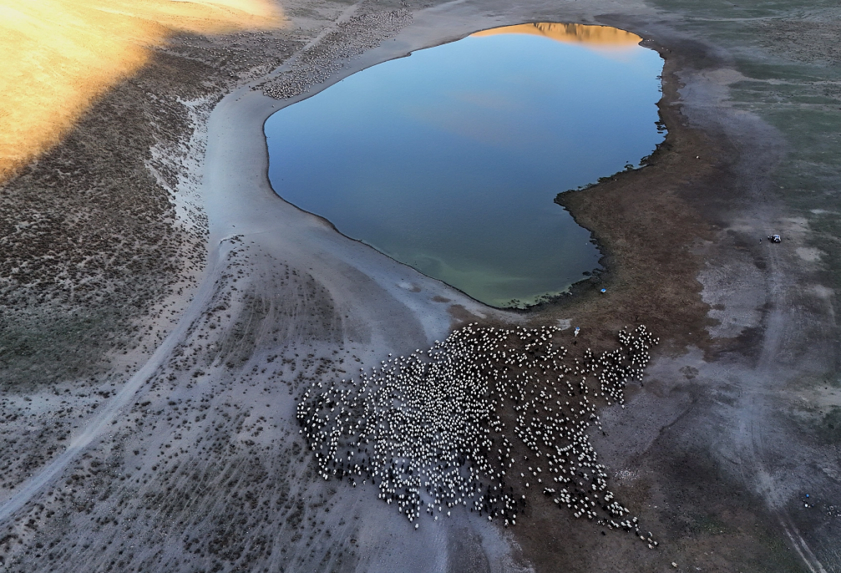 Nemrut Kalderası'nda Sürülerden Kartpostallık Su Yolculuğu